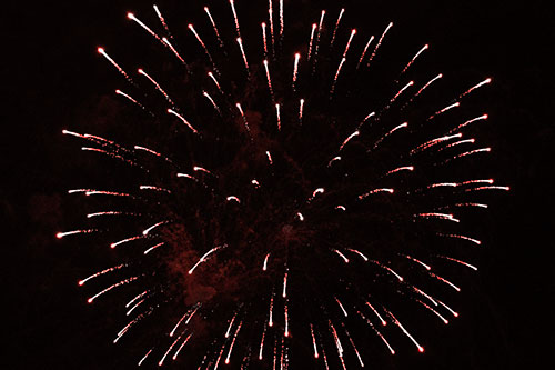 Firework Star Trails Vaporize Among Night Sky (Red Tone Photo)