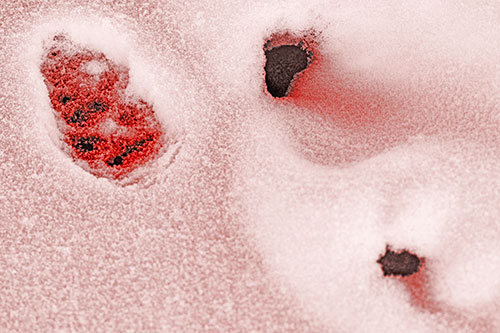 Footprint Eye Snow Face Atop Rock Surface (Red Tone)