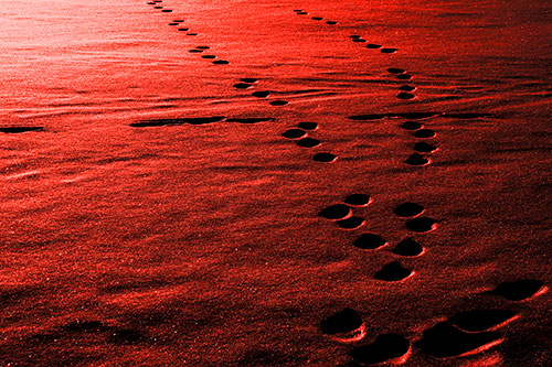 Footprint Trail Across Snow Covered Lake (Red Tone Photo)
