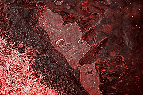 Frozen Bubble Eyed Ice Face Figure Along River Shoreline (Red Tone)