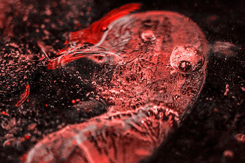 Frozen Distorted Bubble Eyed Ice Face (Red Tone Photo)