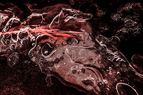 Frozen Shapeshifting Pupil Bubble Eyed Ice Face (Red Tone)