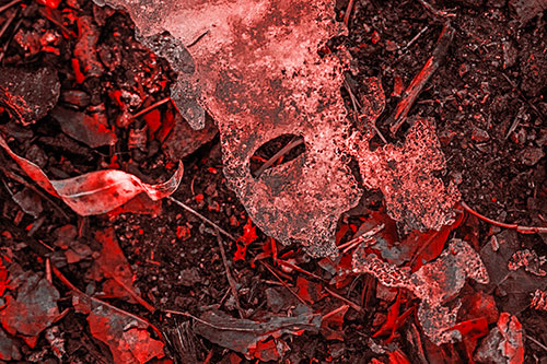 Half Melted Ice Face Atop Dead Leaves (Red Tone)