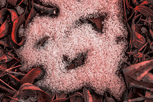 Happy Snow Face Among Dead Twisted Leaves (Red Tone Photo)