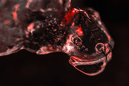Joyful Frozen Bubble Eyed River Ice Face Creature (Red Tone Photo)