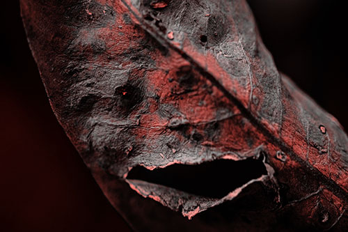Lacerated Mouth Leaf Face Smirking Among Decay (Red Tone)