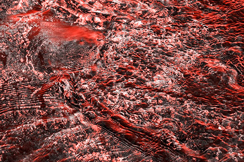 Large Algae Rock Creating River Water Ripples (Red Tone Photo)