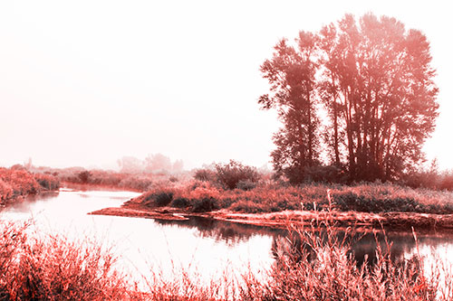 Large Foggy Trees At Edge Of River Bend (Red Tone Photo)