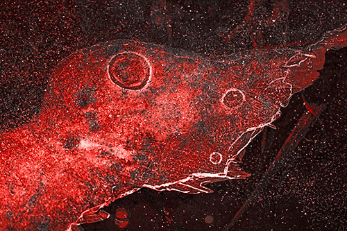 Large Headed Bubble Eyed Ice Face Frozen Among River (Red Tone)