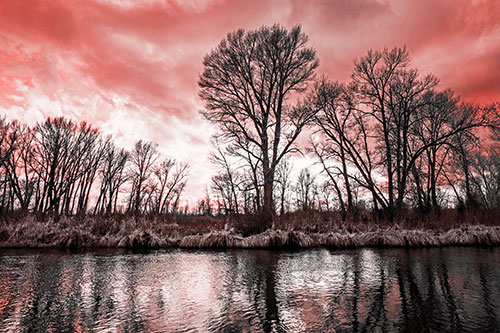 Leafless Trees Cast Reflections Along River Water (Red Tone Photo)