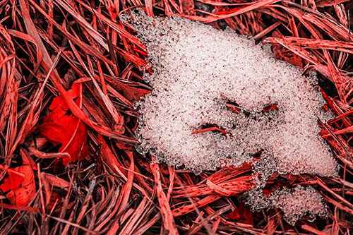 Miserable Slanted Grass Eyed Snow Face (Red Tone)