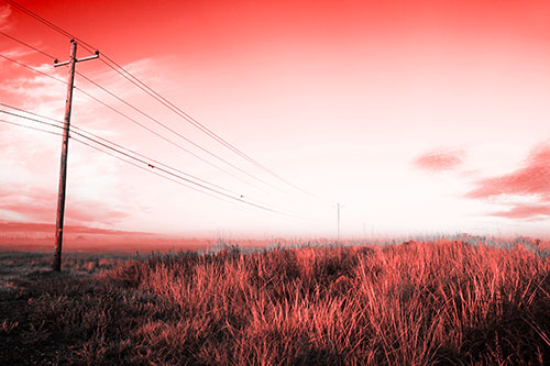 Powerlines Descend Among Foggy Prairie (Red Tone Photo)