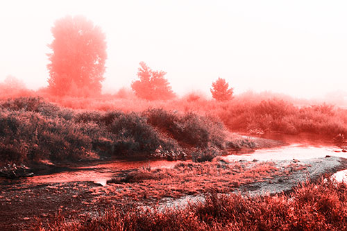 River Flowing Along Foggy Vegetation (Red Tone Photo)