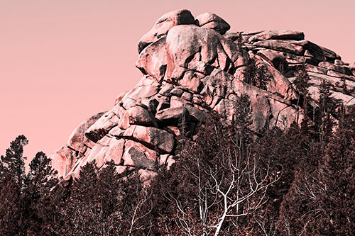 Rock Formations Rising Above Treeline (Red Tone Photo)