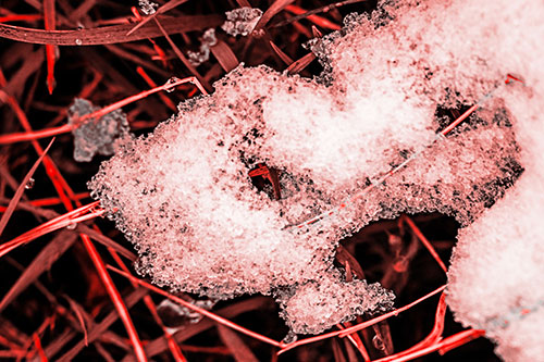 Sad Melting Grass Tangled Snow Face (Red Tone)