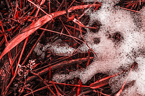 Sad Mouth Melting Ice Face Creature Among Soggy Grass (Red Tone Photo)