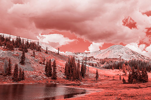 Scattered Trees Along Mountainside (Red Tone Photo)