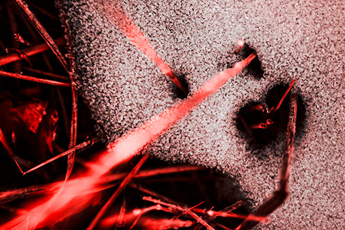 Screaming Illuminated Grass Piercing Snow Face (Red Tone)