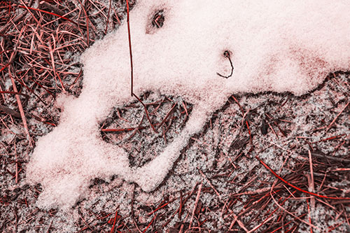 Screaming Stick Eyed Snow Face Among Grass (Red Tone Photo)
