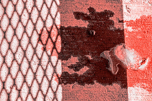 Shadow Obstructs Slobbery Pooch Faced Puddle (Red Tone Photo)