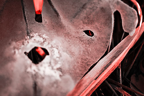 Shocked Peeling Grass Eyed Ice Face (Red Tone)