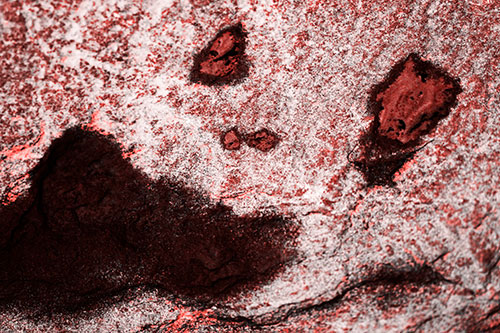 Shocked Puddle Face Drying Among Rock Surface (Red Tone Photo)