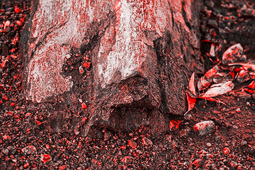 Slime Covered Rock Face Resting Along Shoreline (Red Tone Photo)