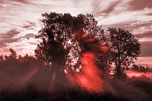 Sunlight Rays Burst Through Fog Surrounded Trees (Red Tone Photo)