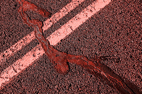 Tar Creeping Over Sidewalk Pavement Lane Marks (Red Tone Photo)