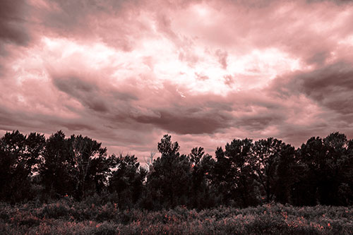 Thunderstorm Clouds Brewing Above Tree Line (Red Tone)