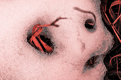 Twisting Grass Eyed Snow Face (Red Tone)