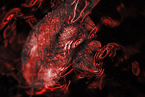 Water Ripple Faced Leaf In Submerged Trance (Red Tone)