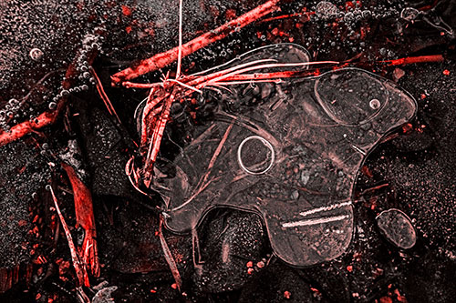 Wide Eyed Bubble Ice Face Looking Downward (Red Tone)