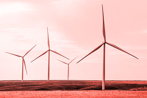 Wind Turbines Standing Tall Among Grassy Pasture (Red Tone)
