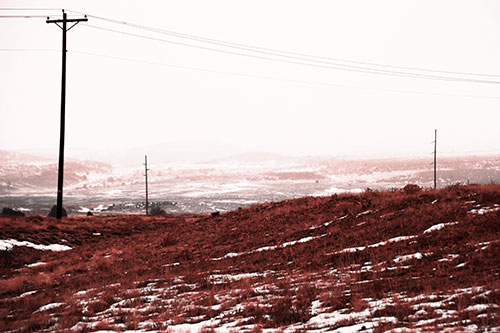 Winter Snowstorm Approaching Powerlines (Red Tone Photo)