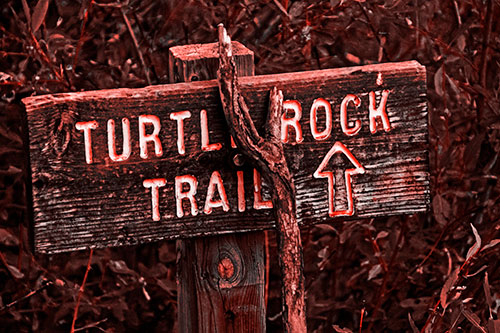 Wooden Turtle Rock Trail Sign (Red Tone Photo)