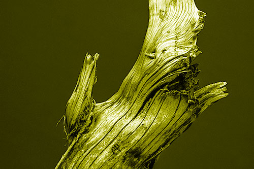 Angry Blood Stained Tree Trunk Creature Raising Fist (Yellow Shade)