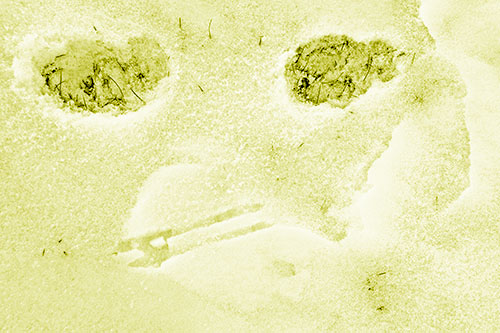 Beak Mouthed Footprint Face Among Snow (Yellow Shade)