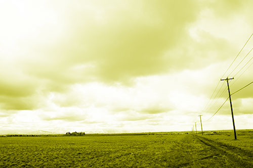 Bleak Clouded Sky Consumes Powerline Prairie (Yellow Shade Photo)