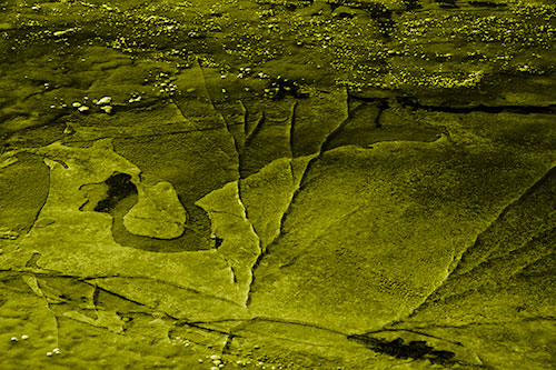 Bubble Cracking River Ice (Yellow Shade Photo)