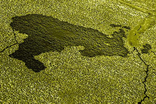 Bunny Rabbit Pavement Puddle Figure Formation (Yellow Shade)