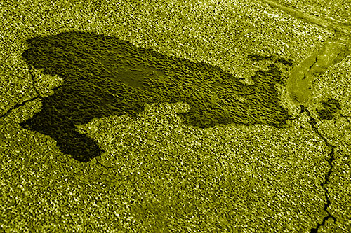 Bunny Rabbit Puddle Figure Formation (Yellow Shade Photo)