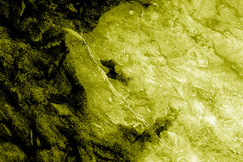 Cracking Demonic Ice Face Pig (Yellow Shade Photo)