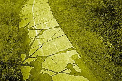 Curving Muddy Concrete Cracked Sidewalk (Yellow Shade Photo)