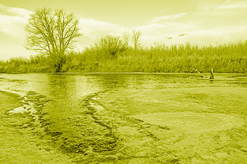 Dead Trees Surround Ice Melting River (Yellow Shade)