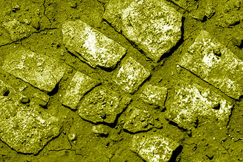 Dirt Covered Stepping Stones (Yellow Shade Photo)