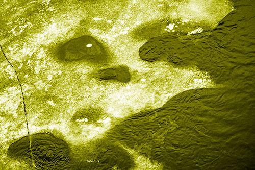 Disintegrating Ice Face Melting Among Flowing River Water (Yellow Shade)