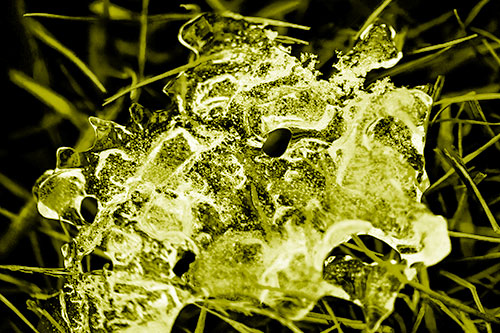 Dismayed Ice Dragon Face Frozen Among Piercing Grass Blades (Yellow Shade)