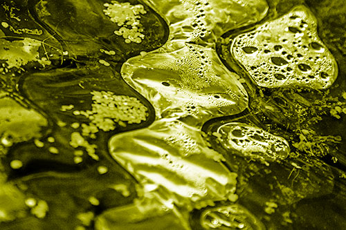 Distorted Plastic Bubble Face Floating Atop Water (Yellow Shade)