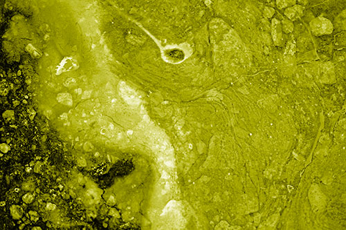 Distressed Oil Face Swirling Among Rocky Shore (Yellow Shade)